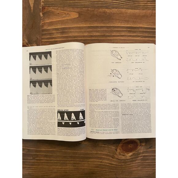 Nelson Textbook of Pediatrics 16th Ed. Hardcover Behrman Kliegman Jenson 2000 - Picture 6 of 6